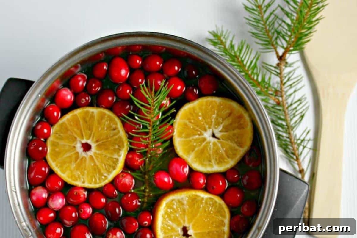 Craft Your Own Scents: 35 DIY Ideas for a Heavenly Smelling Home 29 Cranberry Stove Top Potpourri