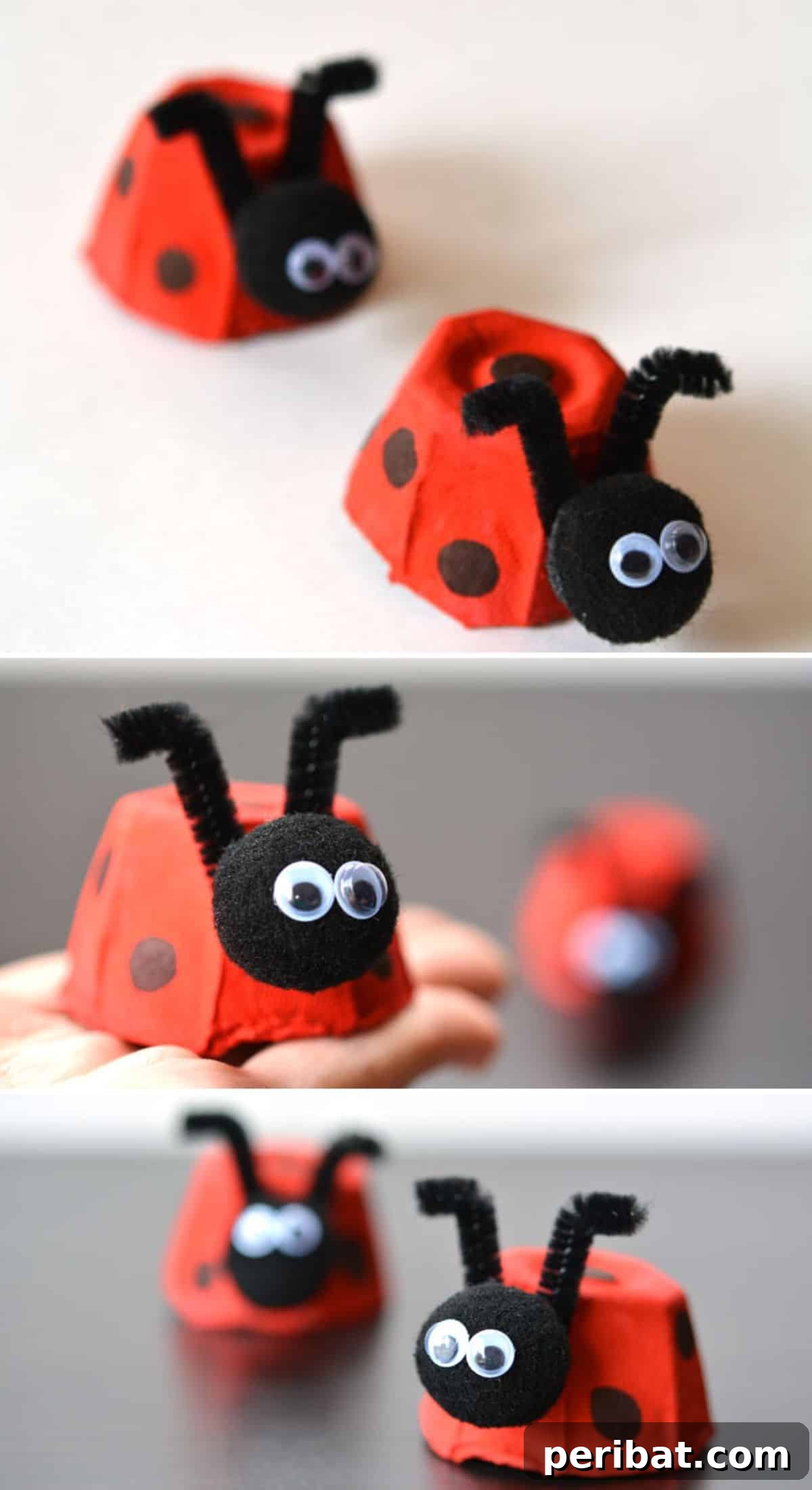 35 Mind-Blowing Creations from Empty Egg Cartons 7 Bright red ladybugs with black spots and pipe cleaner antennae, meticulously crafted from egg cartons, sitting on green leaves.
