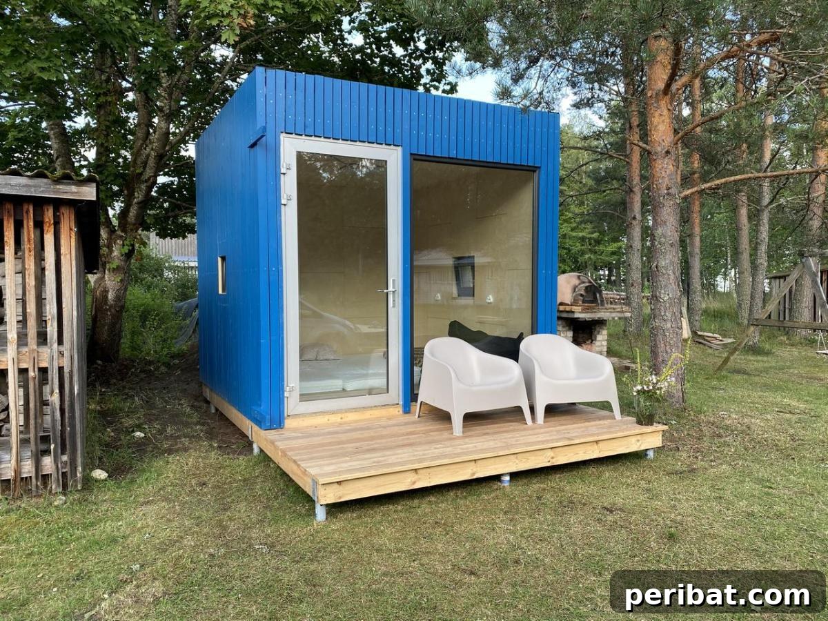 Unlock Your Potential: 42 Inspiring Backyard Studio Shed Designs 24 A rapidly constructed DIY garden room, showcasing efficient building techniques and a modern finish.