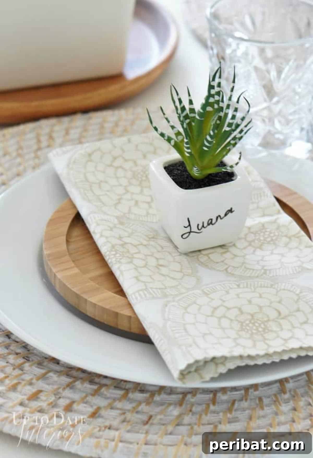 DIY Succulent Place Card. Displays small succulents in miniature pots or vessels, with a name tag attached, serving as a unique and eco-friendly place card and favor.