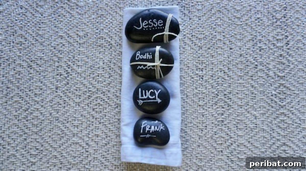 DIY Rock Place Cards. Shows creative place cards made by writing guest names on smooth rocks, offering a unique, natural, and memorable option for events.
