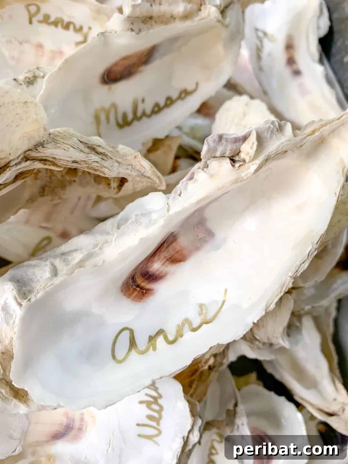 DIY Oyster Shell Place Cards. Displays elegant place cards made by writing guest names on cleaned oyster shells, perfect for coastal-themed events or beach weddings.