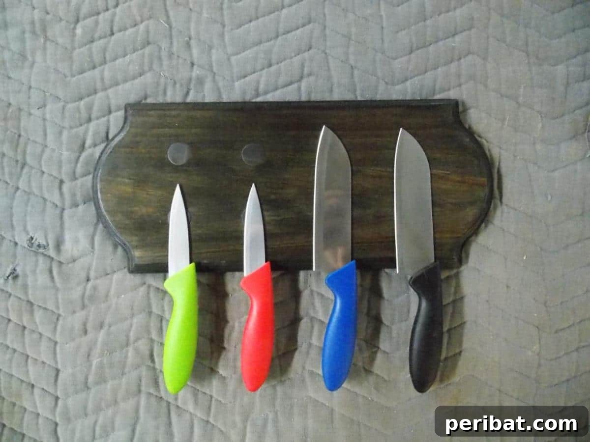 Elevate Your Knife Collection: 22 DIY Display Projects 16 DIY Magnetic Knife Rack