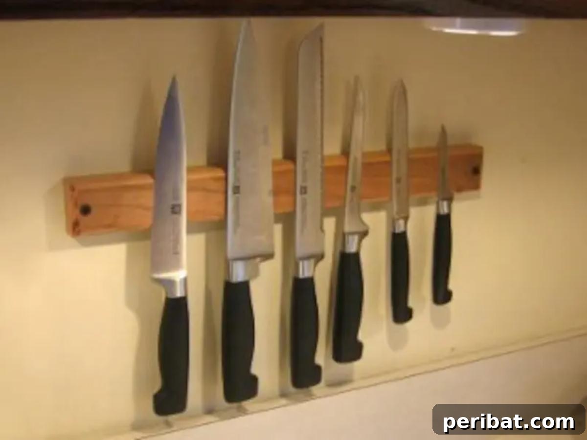 Elevate Your Knife Collection: 22 DIY Display Projects 17 DIY Magnetic Knife Holder