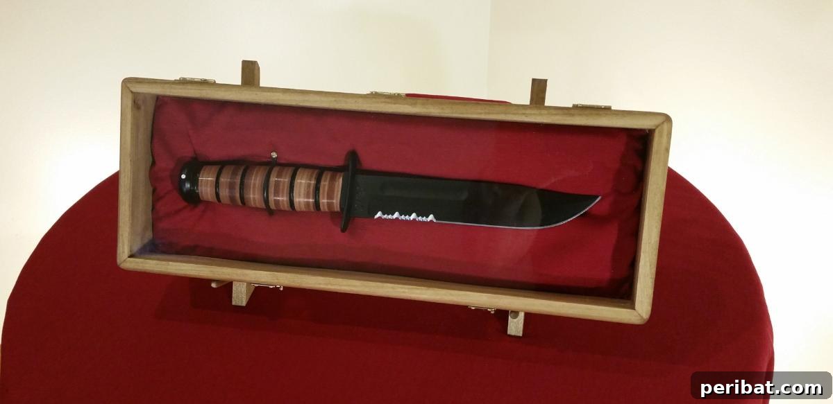 Elevate Your Knife Collection: 22 DIY Display Projects 4 DIY Knife Display Box