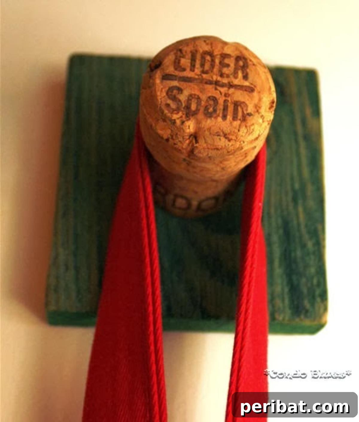 Uncork Your Creativity 50 Wine Cork DIY Projects 35 Wine Cork Coat Hook, showing a creative coat hook made by attaching a wine cork to a base, offering a rustic and functional hanging solution.