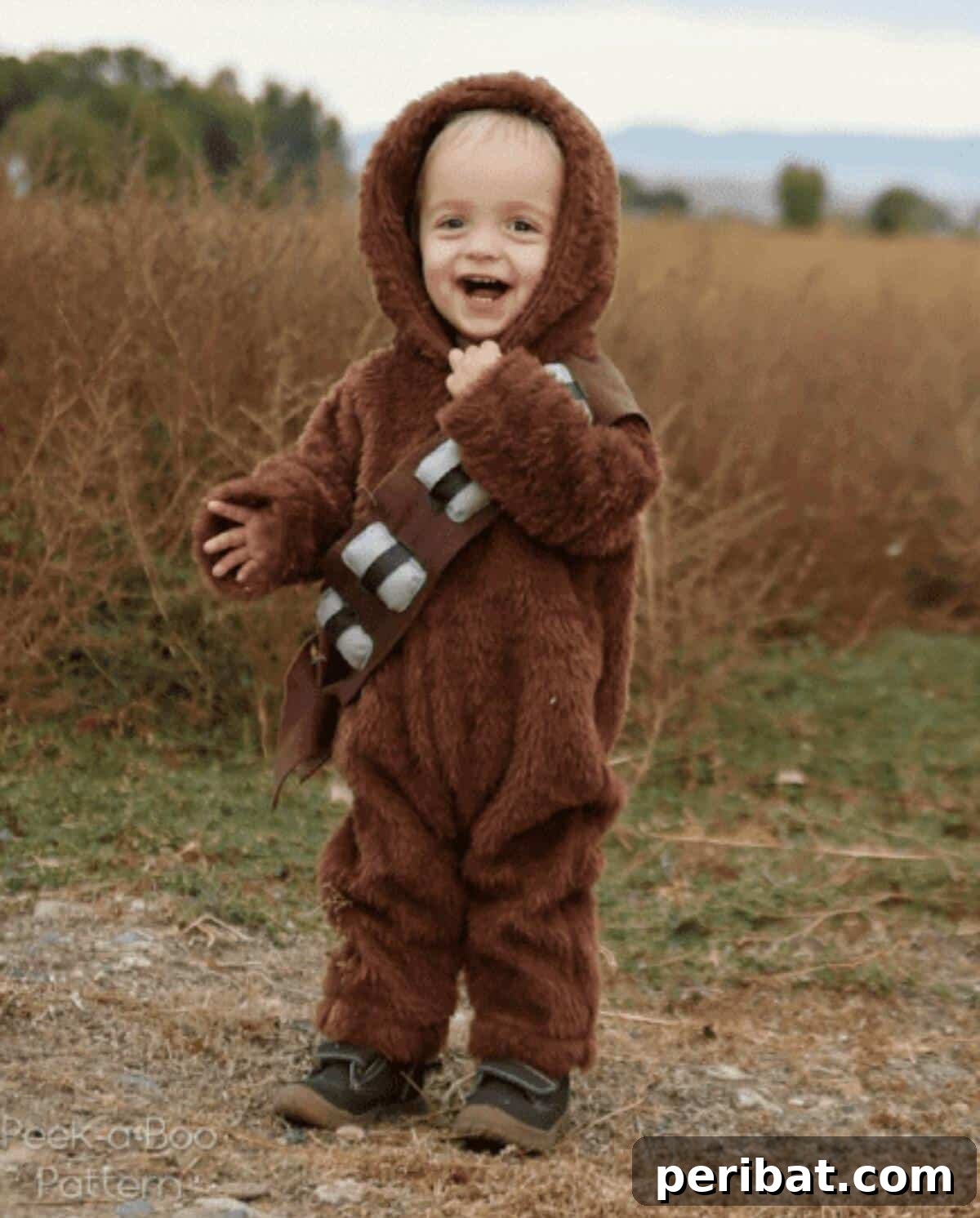 Enchanting Stitches: 20 Magical Sewing Designs 8 DIY Chewbacca Costume, a full-body faux fur onesie.