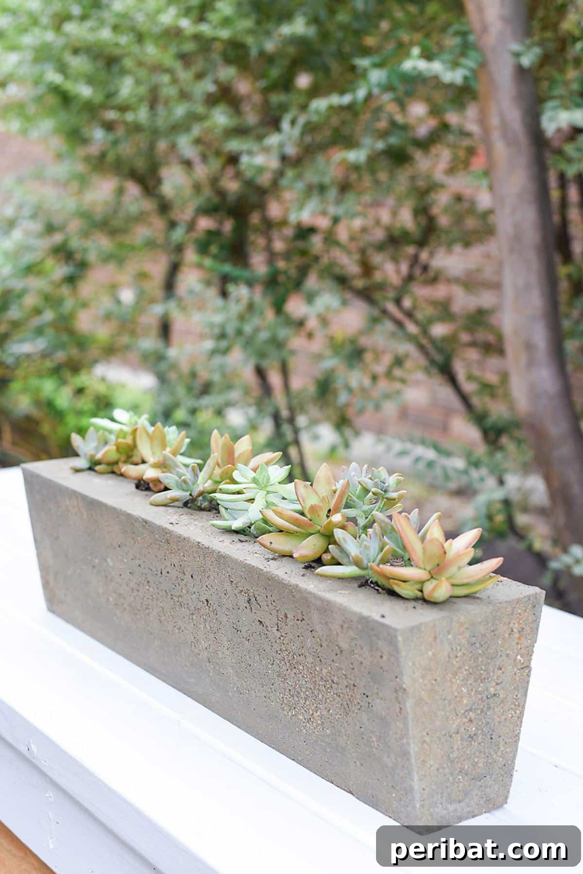 23 Modern Concrete Planter & Vase Projects 24 DIY Sugar Mold Concrete Planter, creating an industrial-chic piece with a rugged, versatile design.