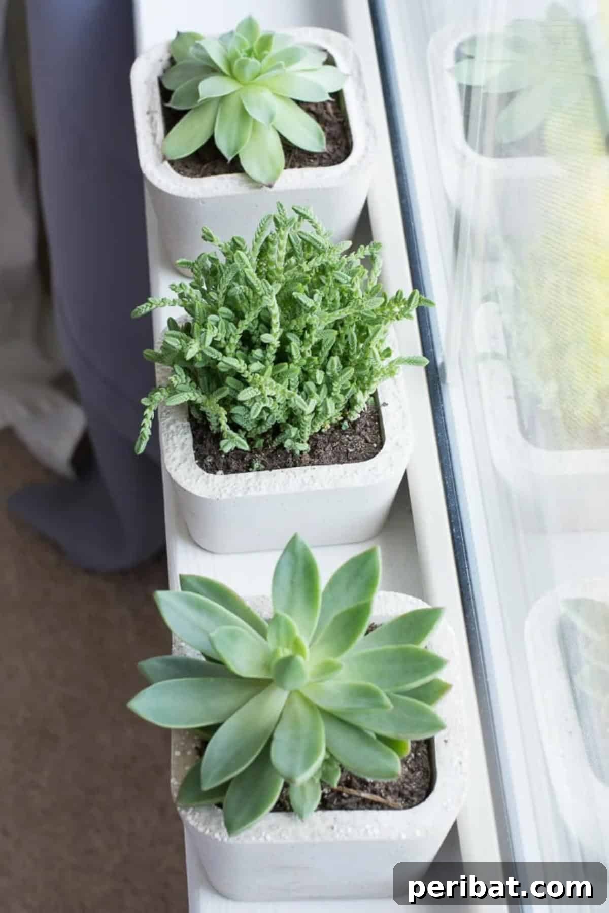 23 Modern Concrete Planter & Vase Projects 4 DIY Succulent Concrete Planters, featuring compact and stylish industrial designs perfect for small plants.