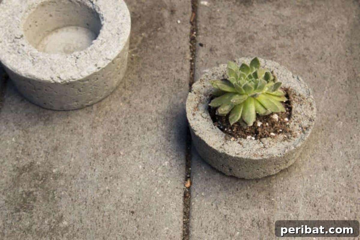 23 Modern Concrete Planter & Vase Projects 6 DIY Concrete Mini Planters, offering compact and rustic options to display small plants with an industrial chic vibe.