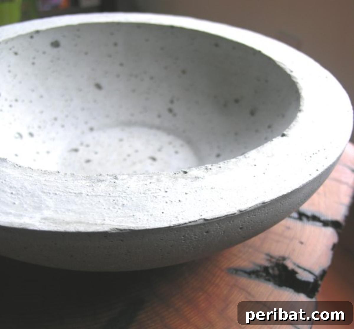 23 Modern Concrete Planter & Vase Projects 7 DIY Hypertufa Concrete Planter, featuring a unique textured finish for an offbeat garden or indoor space.