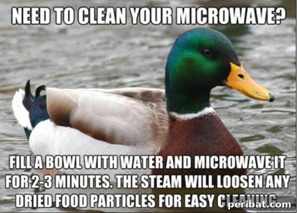 250 Smart Life Hacks to Simplify Your Life 115 Microwave hack for heating two plates at once