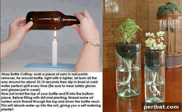 250 Smart Life Hacks to Simplify Your Life 131 Bottle cap as a mini planter