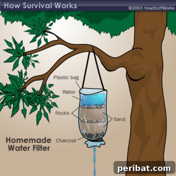 250 Smart Life Hacks to Simplify Your Life 140 DIY water filter for emergencies