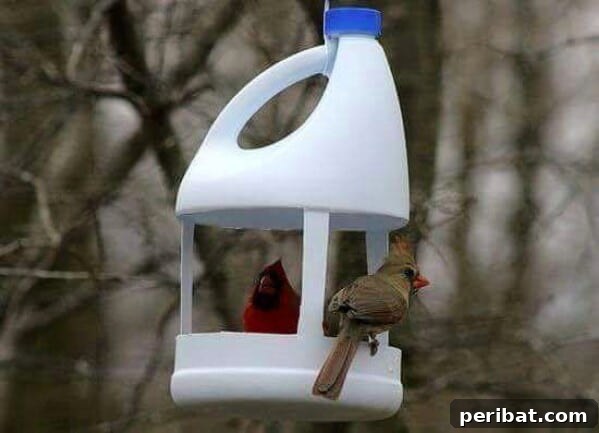 250 Smart Life Hacks to Simplify Your Life 148 Bottle feeders for small animals