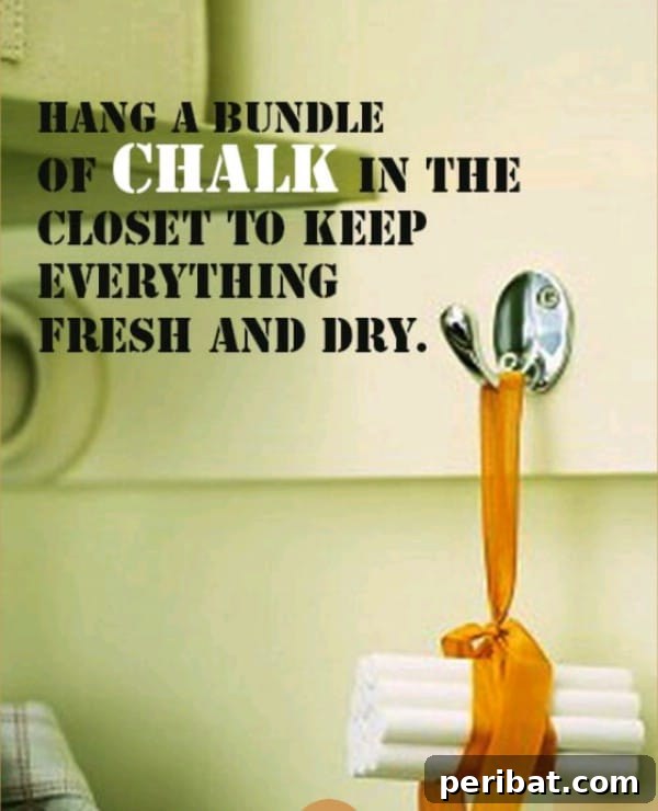 250 Smart Life Hacks to Simplify Your Life 149 Dry closet for hanging clothes