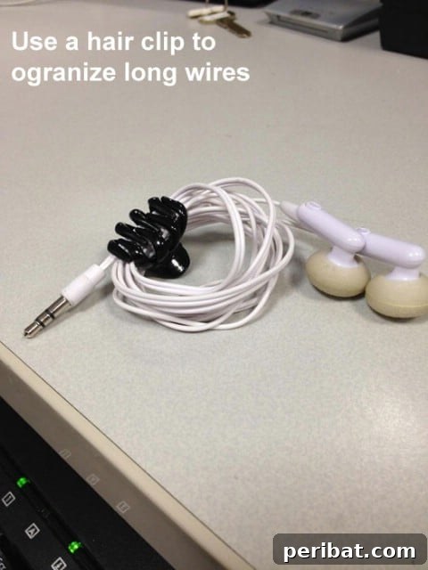 250 Smart Life Hacks to Simplify Your Life 164 Hair clip to organize long wires