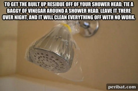 250 Smart Life Hacks to Simplify Your Life 186 Shower head homemade cleaning solution with vinegar bag