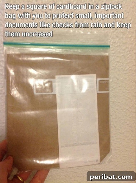 250 Smart Life Hacks to Simplify Your Life 192 How to keep important documents safe in a binder