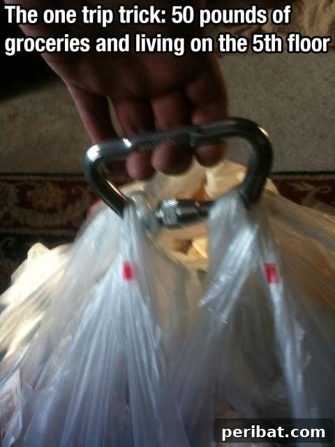 250 Smart Life Hacks to Simplify Your Life 193 Grocery bag carrying hack for multiple bags