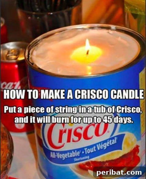 250 Smart Life Hacks to Simplify Your Life 217 Crisco candle for emergency lighting