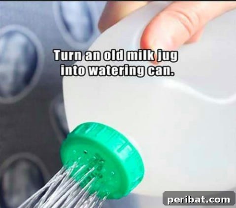 250 Smart Life Hacks to Simplify Your Life 221 Old milk jug as a watering can