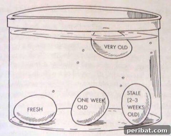 250 Smart Life Hacks to Simplify Your Life 30 How to test the age and freshness of eggs