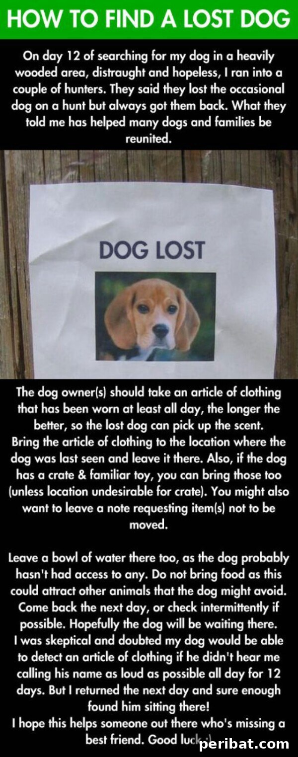 250 Smart Life Hacks to Simplify Your Life 49 Lost dog poster with tear-off contact info