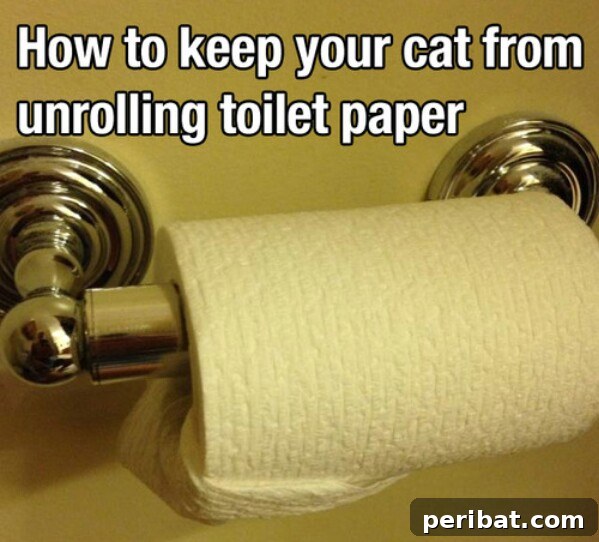 250 Smart Life Hacks to Simplify Your Life 80 Cat repellent spray for furniture