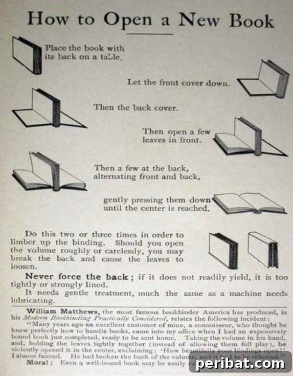 250 Smart Life Hacks to Simplify Your Life 9 Innovative use for common household items