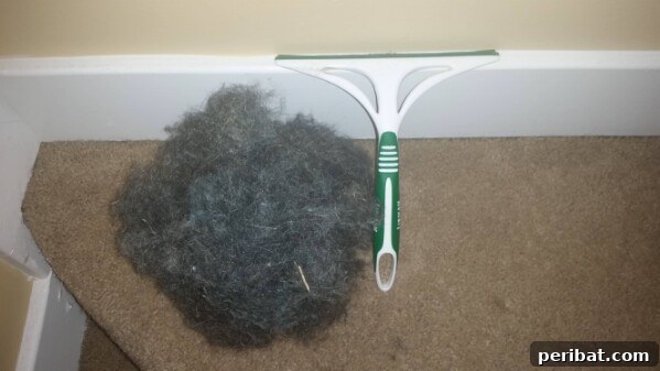 250 Smart Life Hacks to Simplify Your Life 86 Pet fur removal with a rubber glove