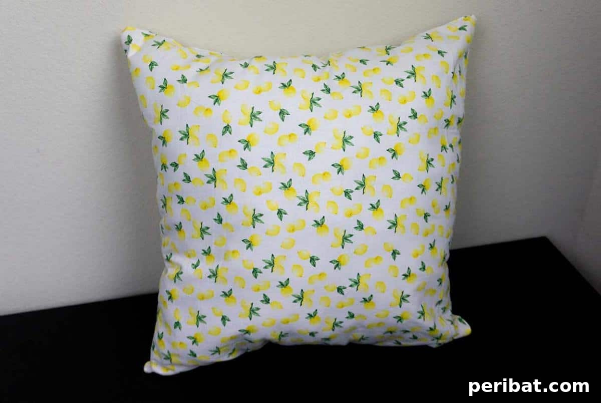 47 Inspiring DIY Throw Pillow Designs 43 An inviting DIY easy throw pillow, illustrating a straightforward approach to home decor.