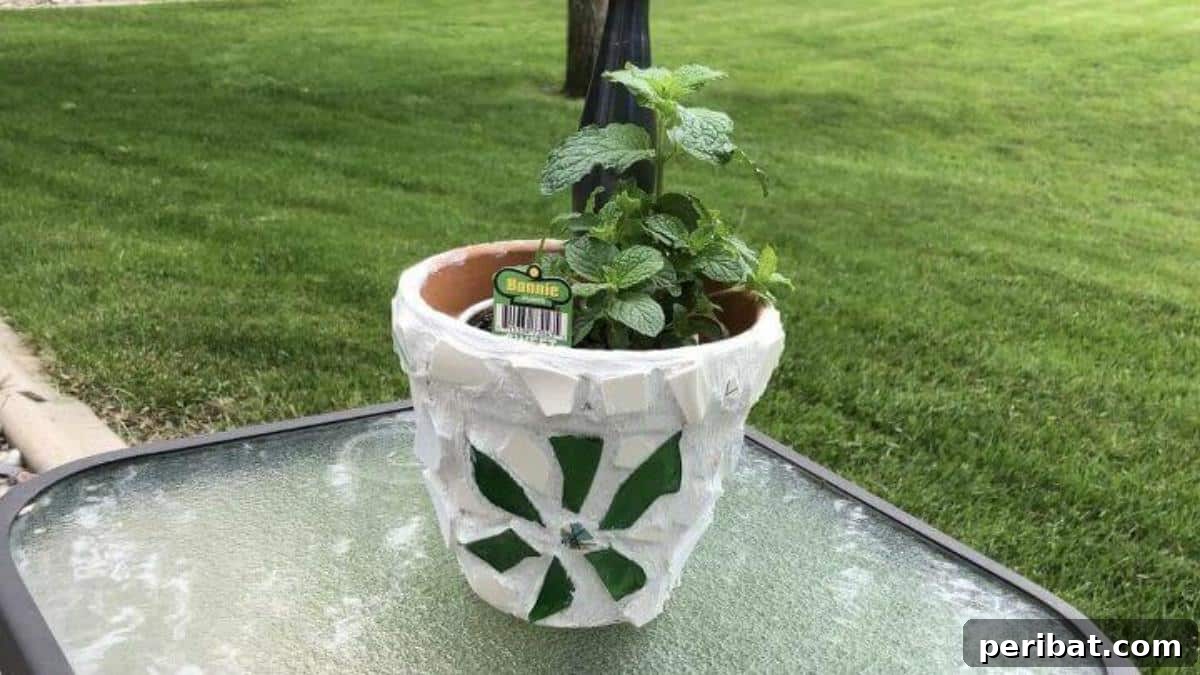 Mosaic Terra Cotta Flower Pot