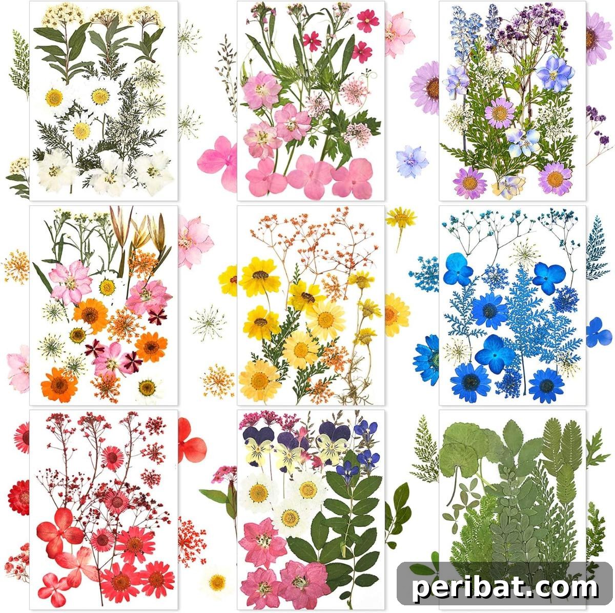 Nature's Masterpiece: 44 Creative DIY Leaf Art Projects 44 Dried and Pressed Flowers