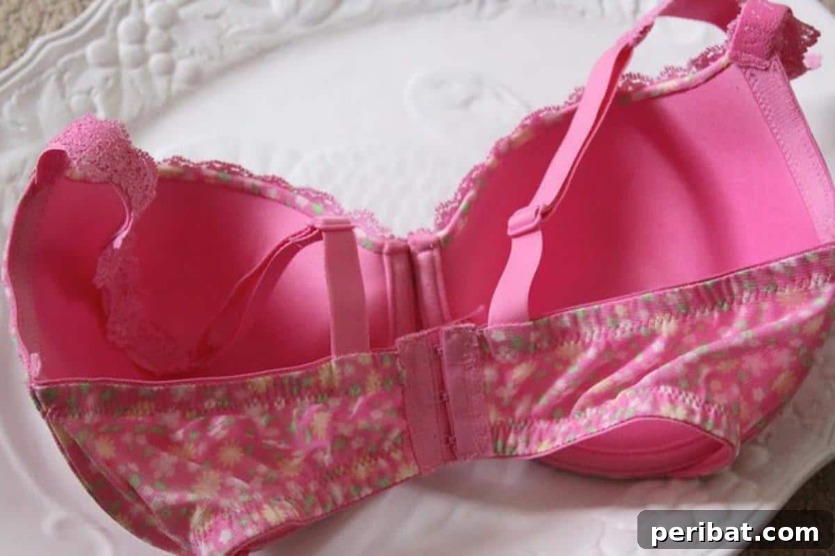 DIY Bra Alter