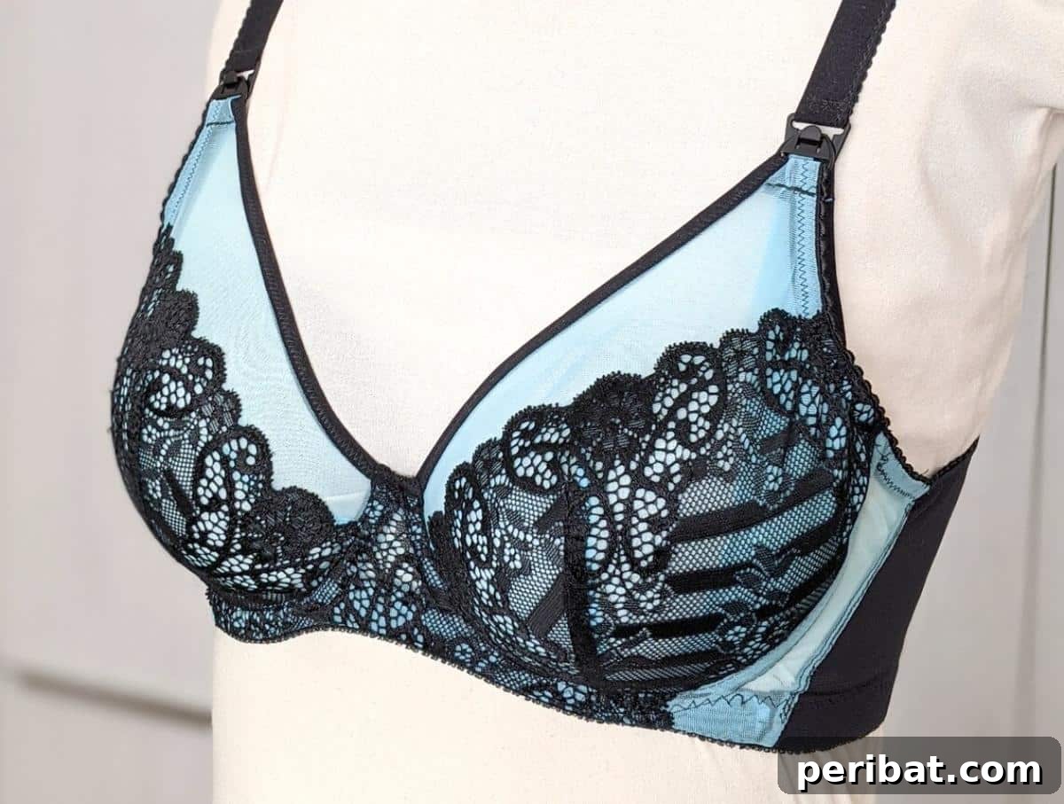 The Lamina Bra Pattern