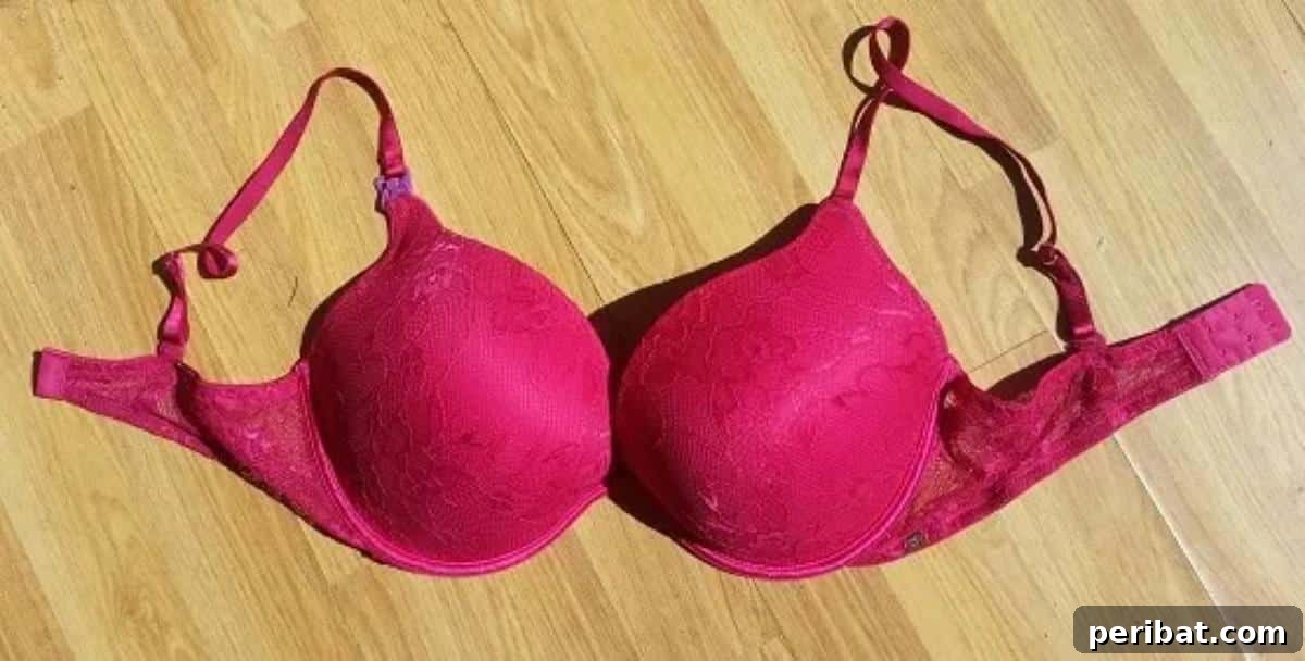 Converted Nursing Bra