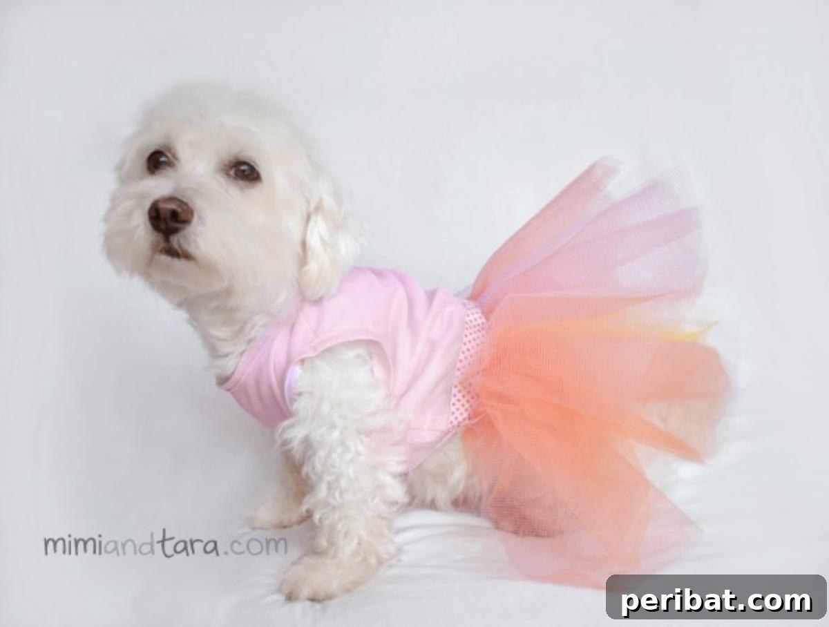 DIY Dog Dress With Tutu Skirt