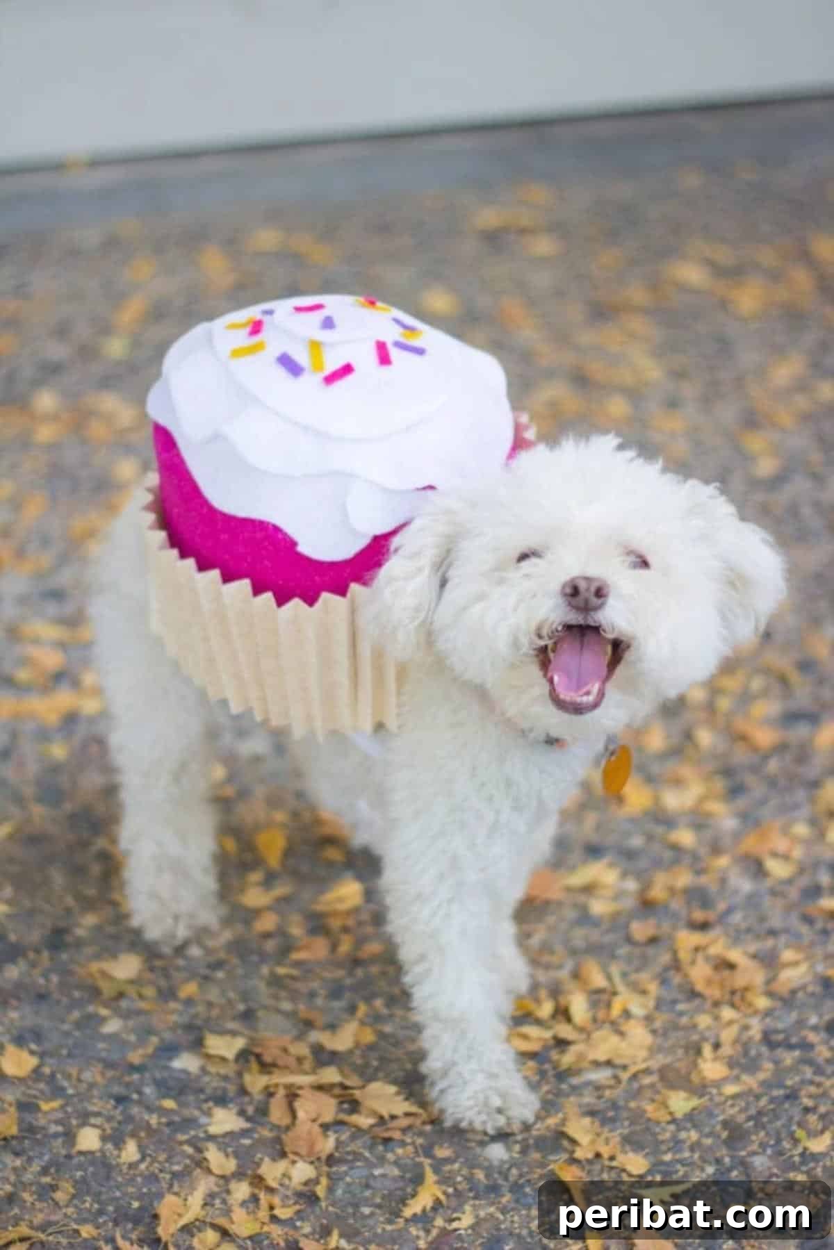 Dog Halloween Cupcake Costume