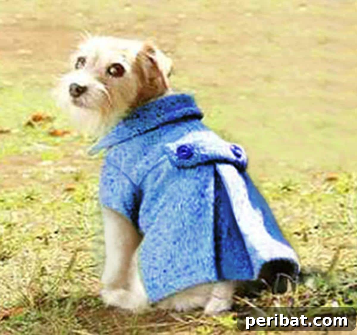 Doggy Pleated Wool Coat