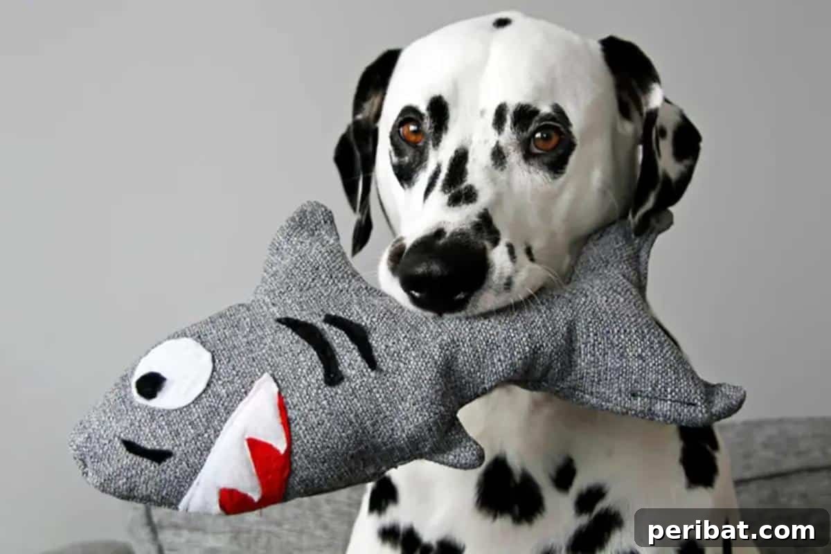 DIY Stuffed Squeaky Shark Dog Toy