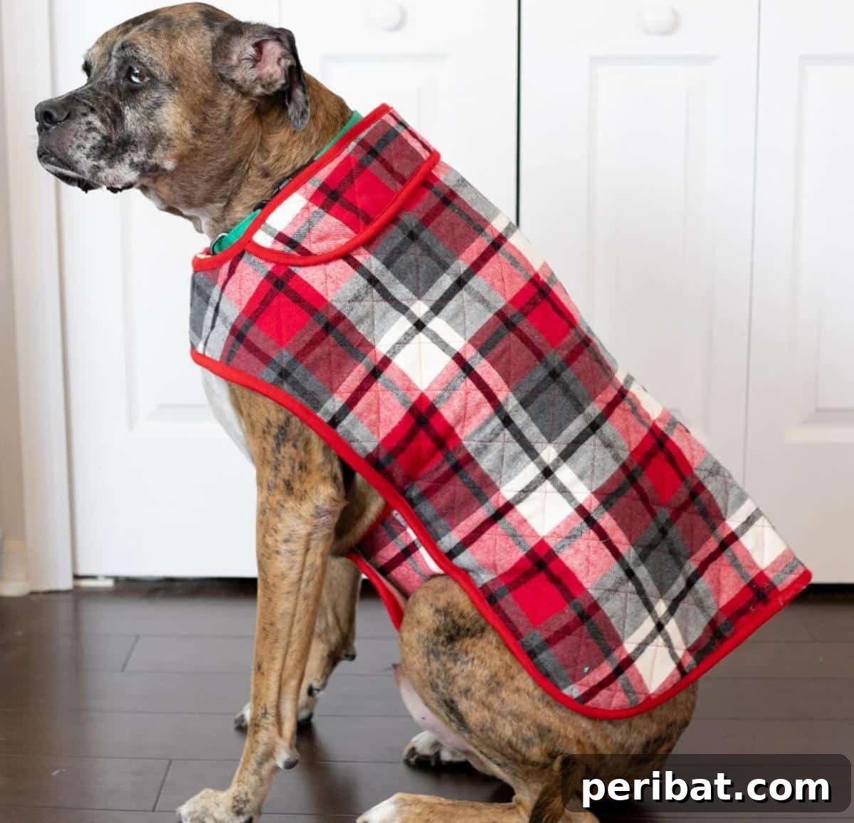 DIY Doggy Coat