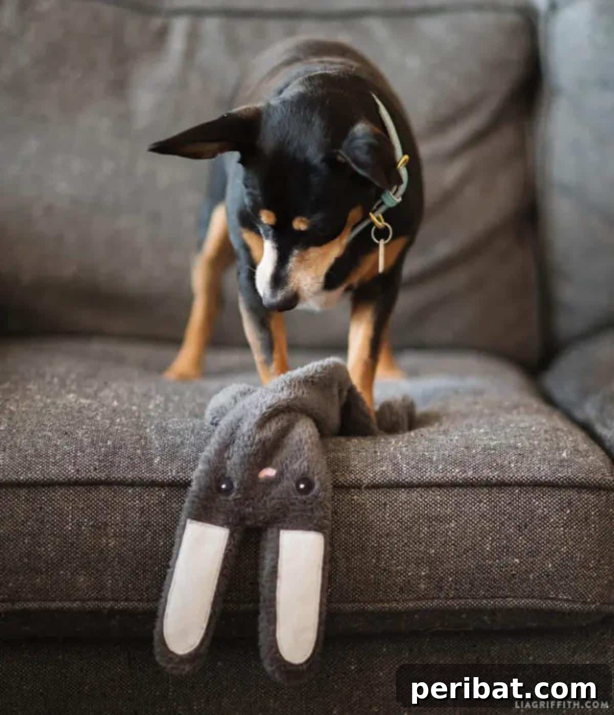 No-Stuffing Bunny Dog Toy