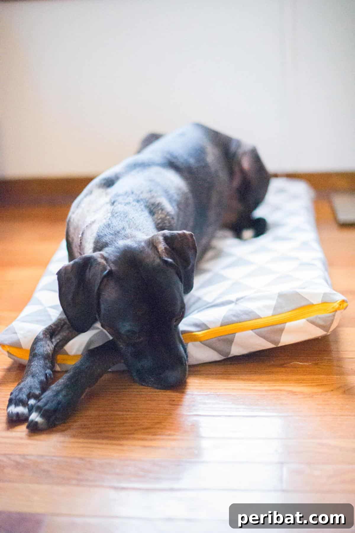 DIY Dog Bed