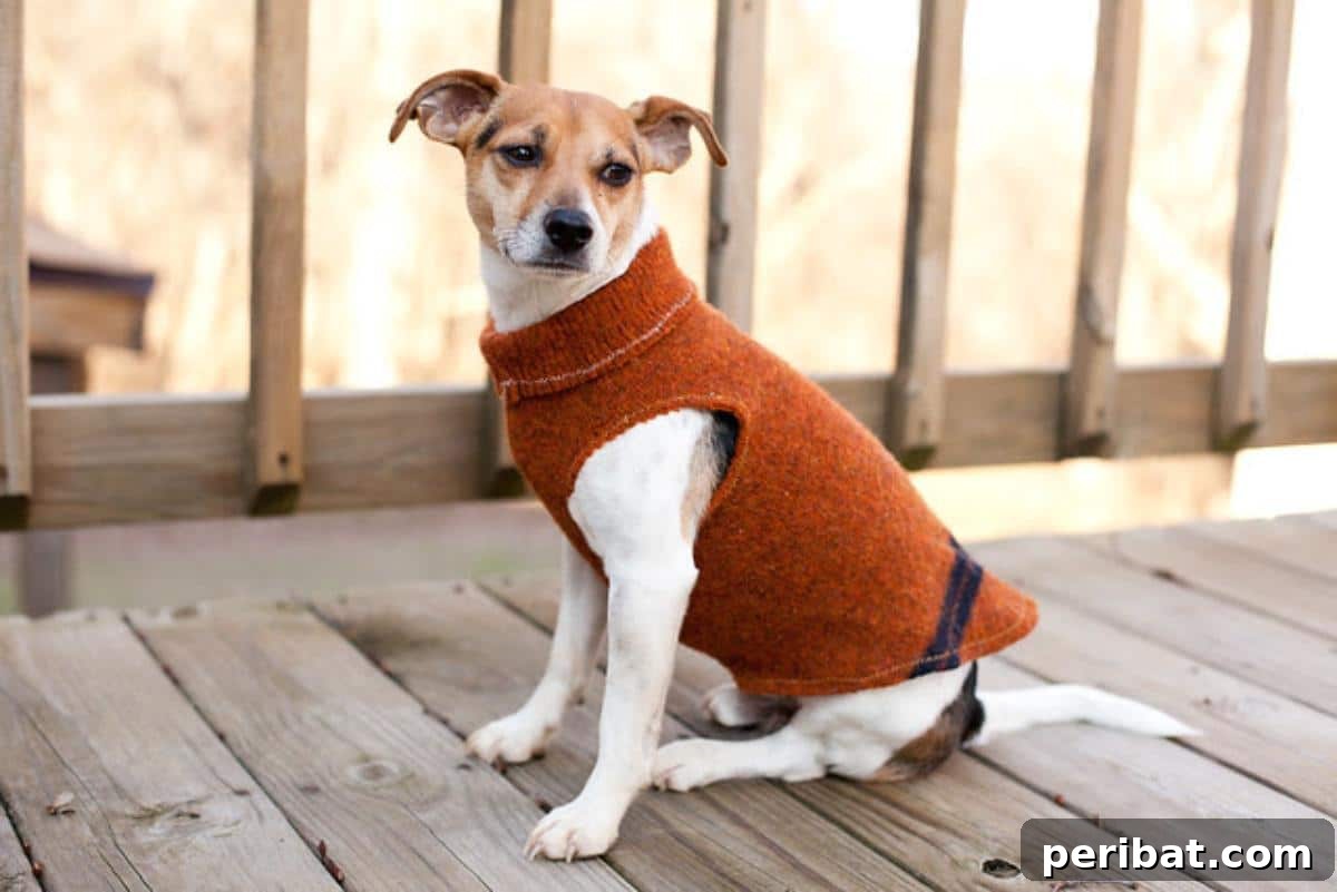 Sweater Sleeve Dog Coat
