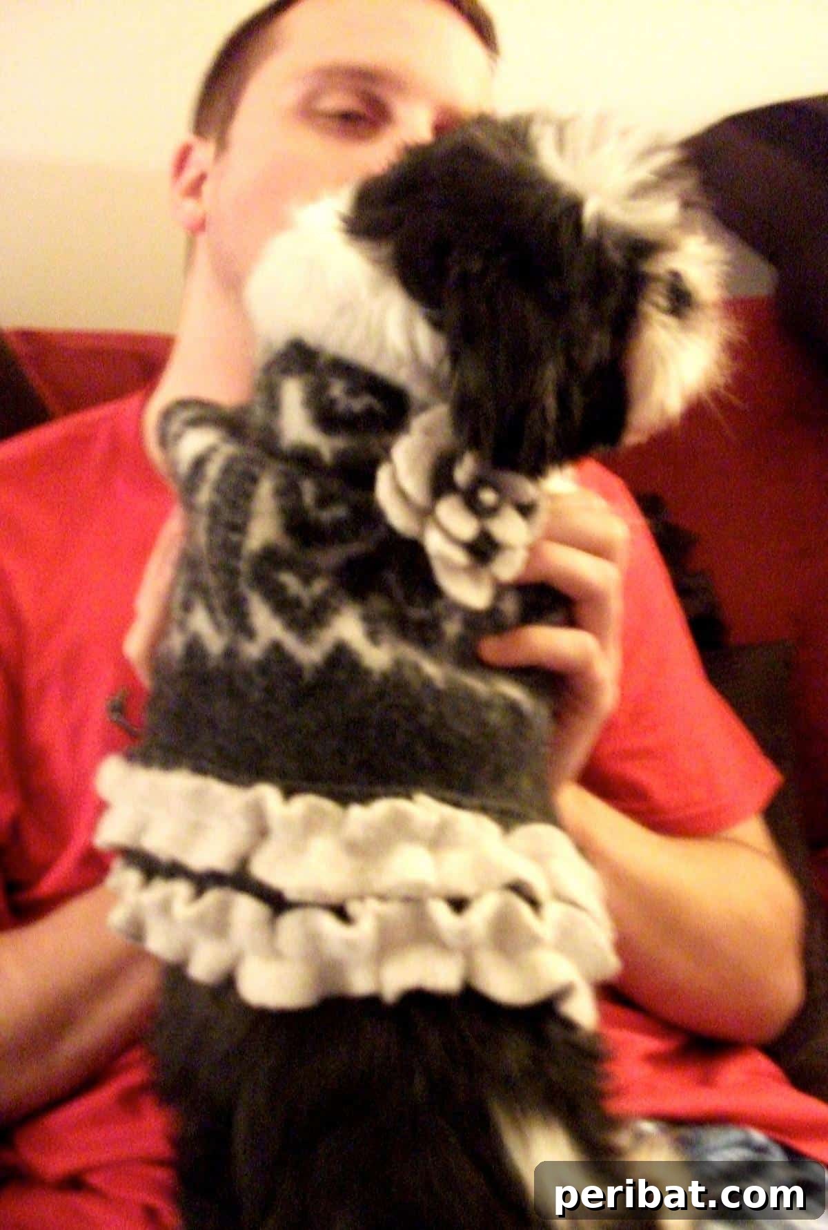 Embellished Wool Doggie Sweater Dress