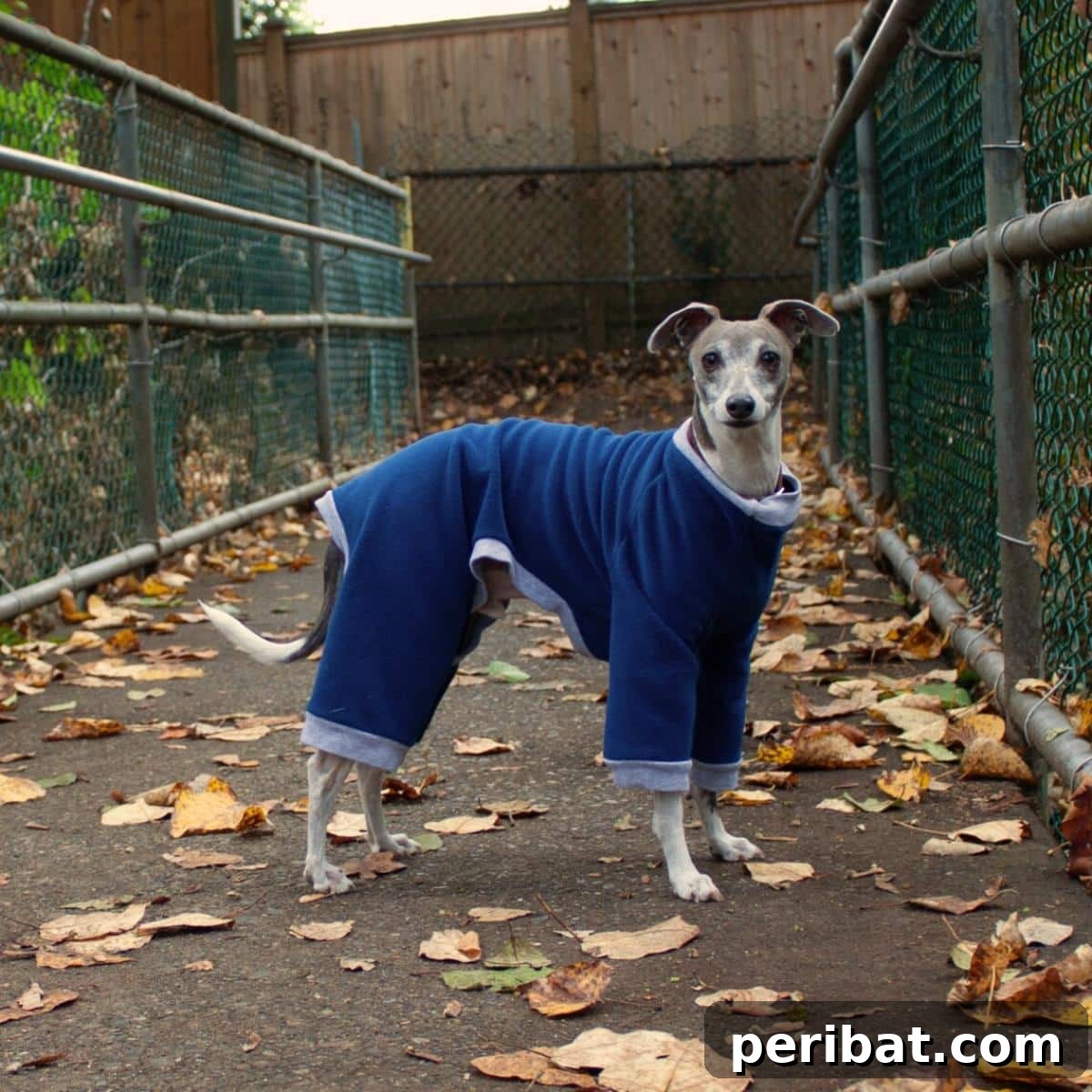 DIY Dog Pajama
