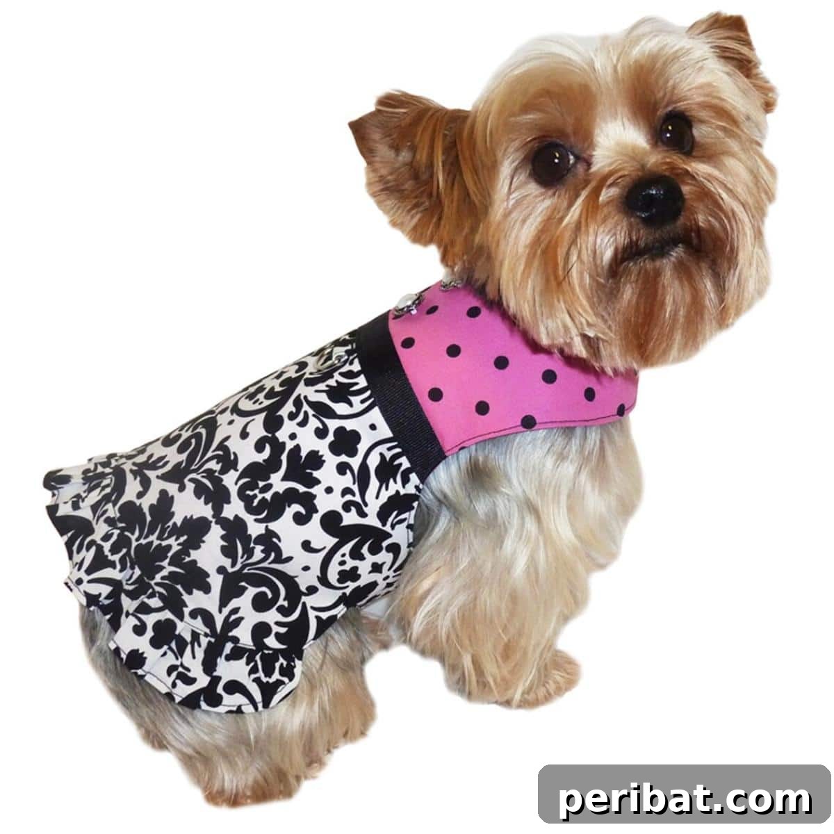 Eloise Dog Dress