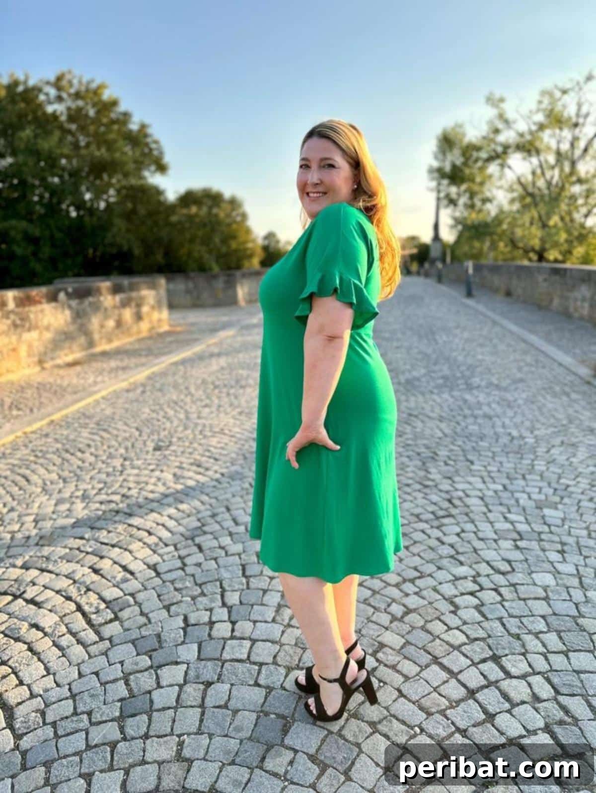 30 Free Plus Size Sewing Projects 23 Plus Size Dress