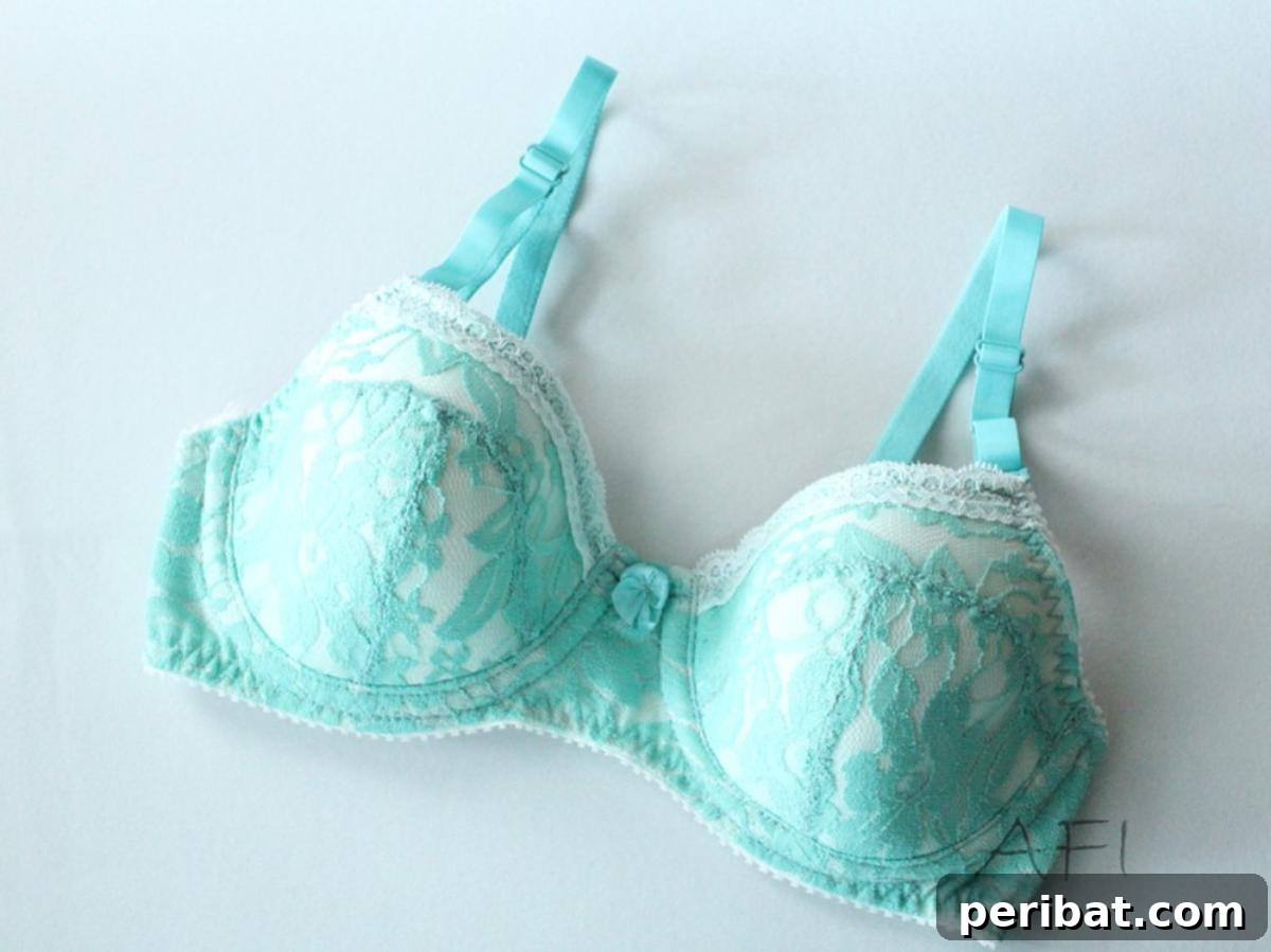 30 Free Plus Size Sewing Projects 4 DIY Maya Bra
